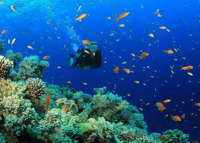 Welive - Luxury Loft Apartamento *